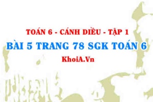 Bài 5 trang 78 SGK Toán 6 tập 1 Cánh Diều